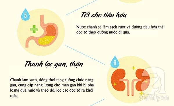 uống nước chanh ấm mỗi sáng