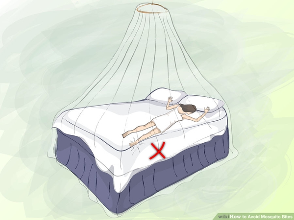 cách phòng tránh muỗi đốt