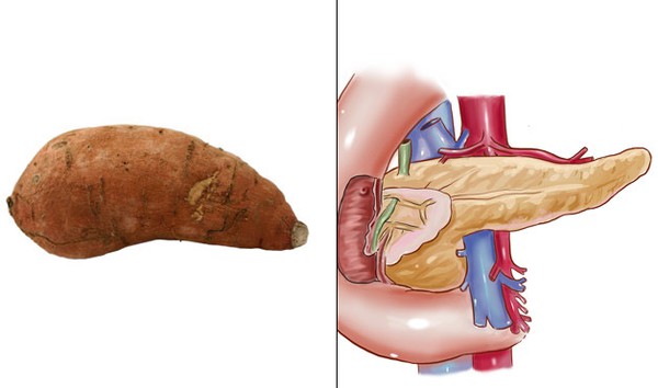 thực phẩm giống bộ phận cơ thể