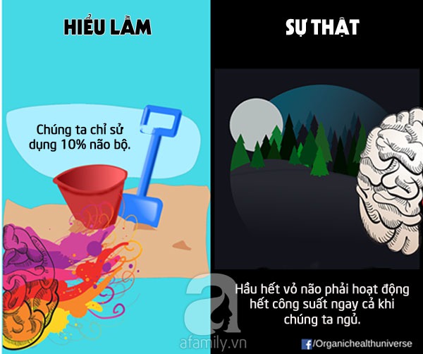 hiểu lầm về cơ thể