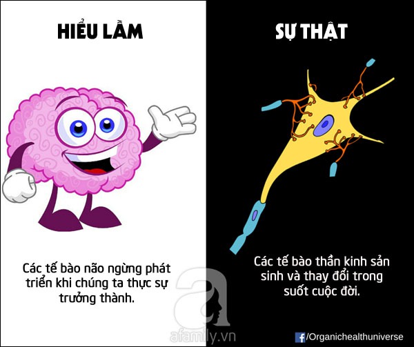 hiểu lầm về cơ thể