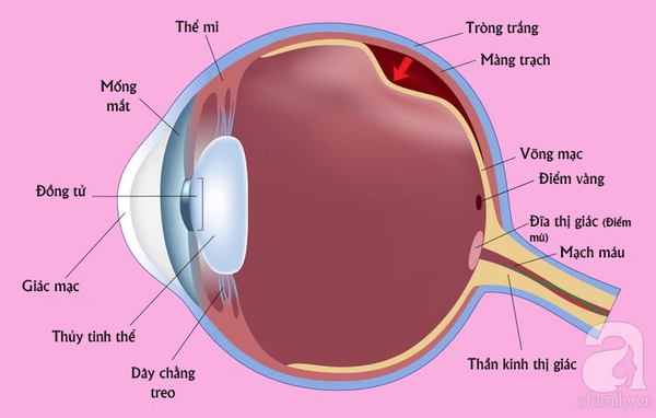 bệnh về mắt