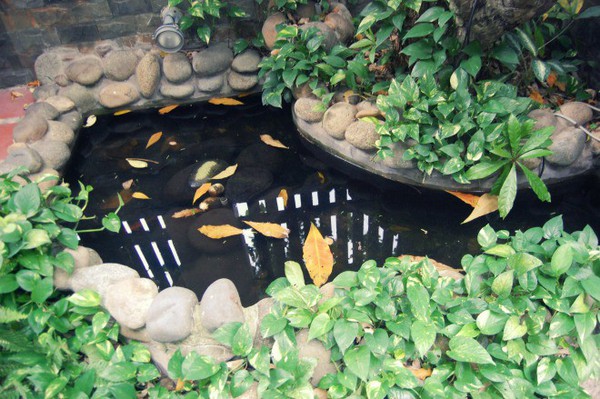 tư vấn cải tạo5 tư vấn cải tạo5