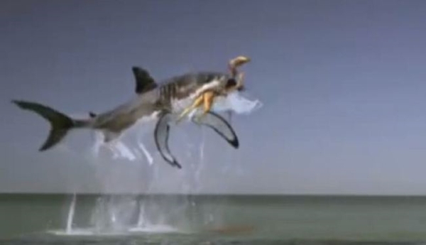 Quảng cáo gây sốc: Cô gái bị cá mập tấn công vì... băng vệ sinh  3
