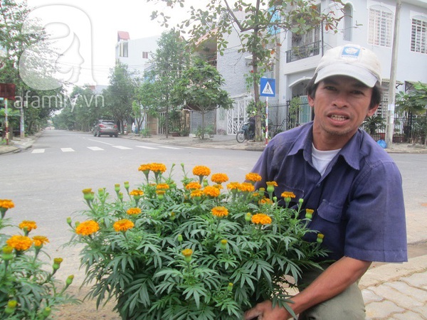 Sắc xuân tràn ngập ở làng hoa Đà Nẵng  20