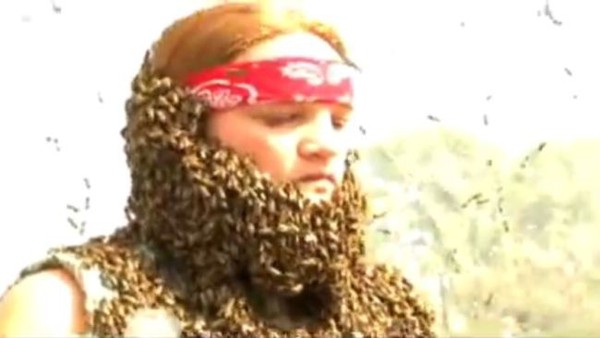 Thi nhau cho ong bám mặt để tạo thành bộ râu   3