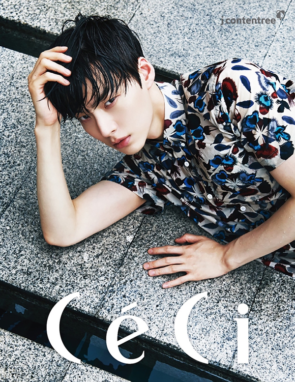 ahn jae hyun