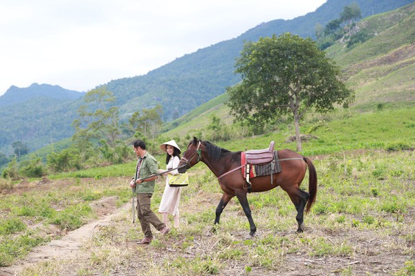 sứ mệnh trái tim