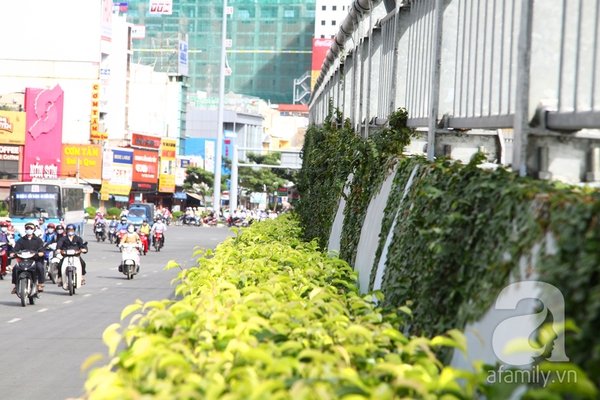 Ngắm những cây cầu màu xanh xinh đẹp ở Sài Gòn 8