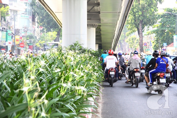 Ngắm những cây cầu màu xanh xinh đẹp ở Sài Gòn 7