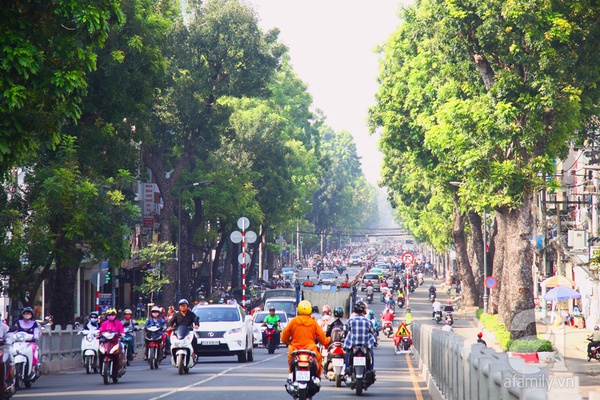 Sài Gòn đẹp tuyệt vời với những con đường màu xanh 1