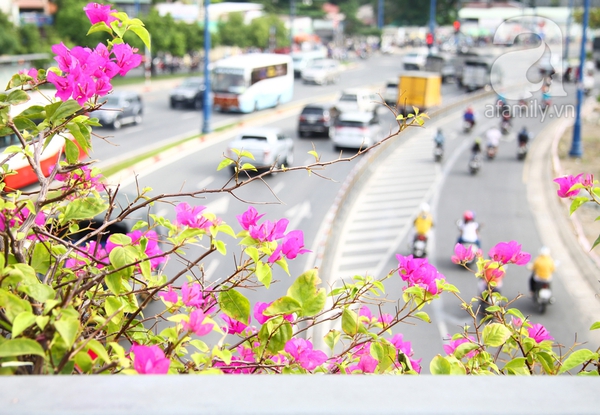 Ngắm những cây cầu màu xanh xinh đẹp ở Sài Gòn 14