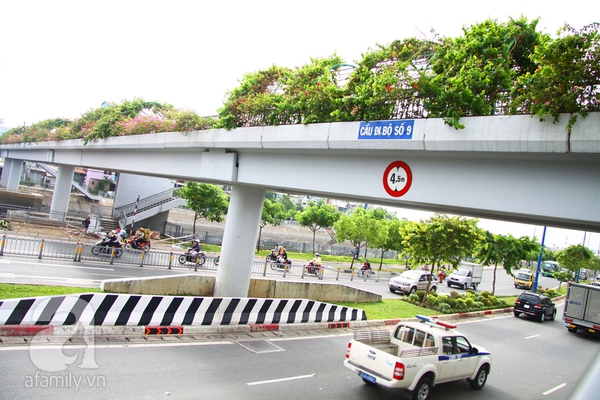 Ngắm những cây cầu màu xanh xinh đẹp ở Sài Gòn 13
