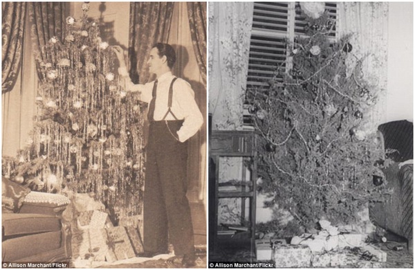 Ch&ugrave;m ảnh: C&acirc;y th&ocirc;ng Noel đ&atilde; thay đổi thế n&agrave;o trong 100 năm qua? 3