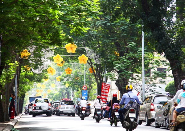 Sài Gòn đẹp tuyệt vời với những con đường màu xanh 6