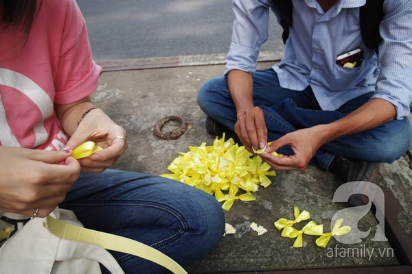 Gắn ruy-băng vàng tạm biệt hàng cây trăm tuổi trên đường Tôn Đức Thắng 4