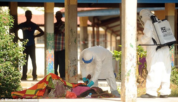 Sierra Leone hủy lễ Giáng sinh vì Ebola 2