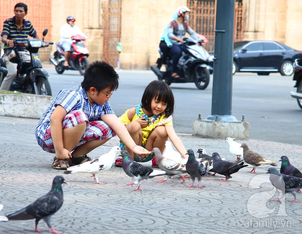 Những góc nhỏ bình yên tuyệt đẹp của Sài Gòn 16