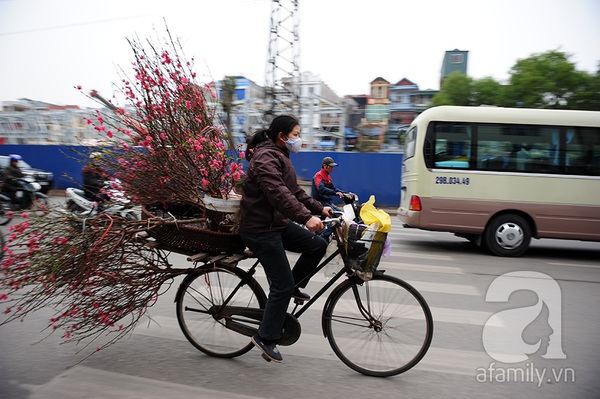 Rạo rực không khí Tết trên khắp phố phường Hà Nội 6