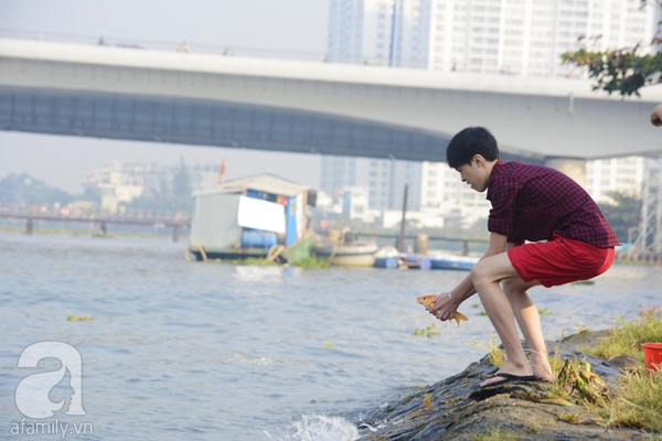 Cá chép tiễn ông Táo: Chưa kịp "chầu trời" đã bị... bắt 4