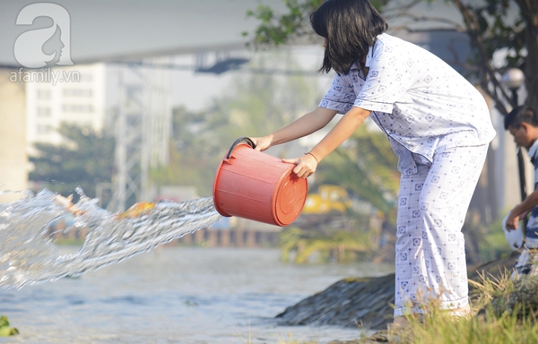 Cá chép tiễn ông Táo: Chưa kịp "chầu trời" đã bị... bắt 6