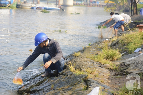 Cá chép tiễn ông Táo: Chưa kịp "chầu trời" đã bị... bắt 7