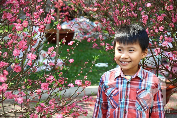 Người Sài Gòn thích thú ngắm hoa đào khoe sắc hồng giữa phố 8