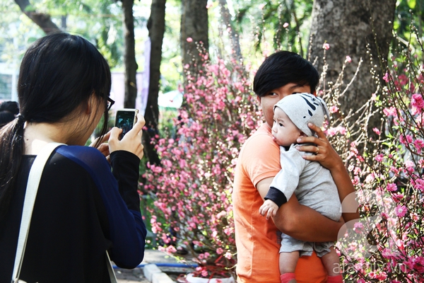 Người Sài Gòn thích thú ngắm hoa đào khoe sắc hồng giữa phố 12