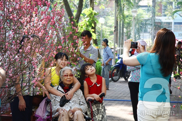 Người Sài Gòn thích thú ngắm hoa đào khoe sắc hồng giữa phố 11