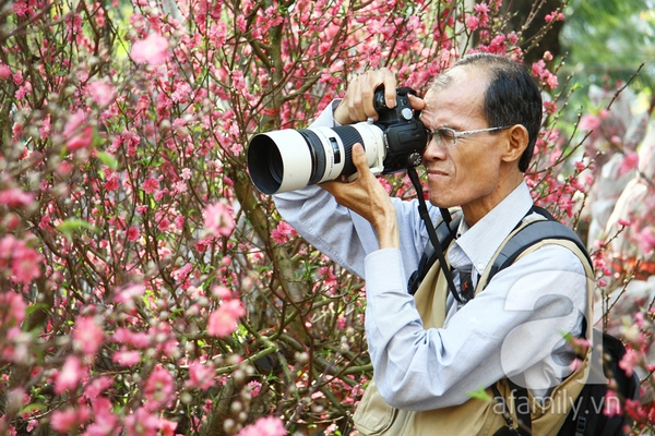 Người Sài Gòn thích thú ngắm hoa đào khoe sắc hồng giữa phố 15