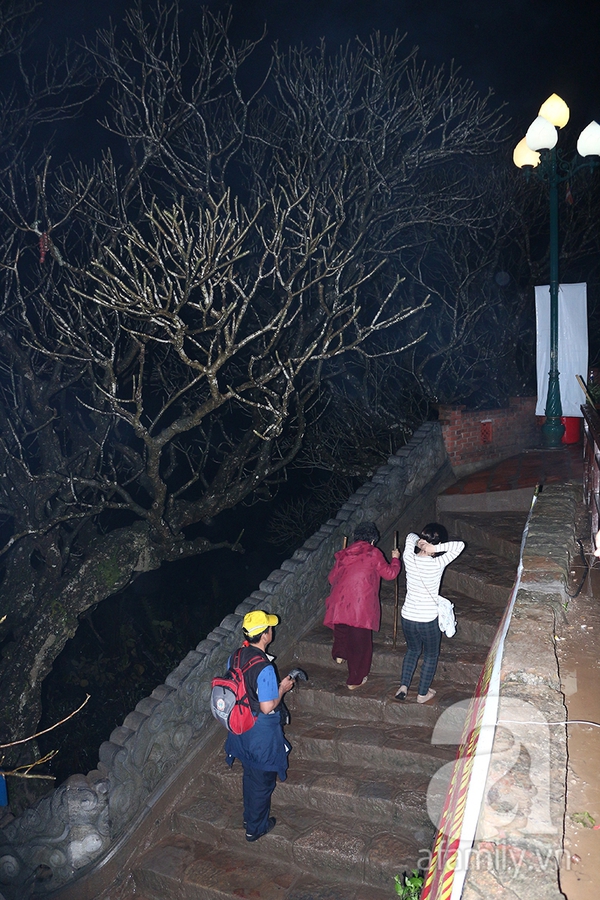 Du khách leo đỉnh Yên Tử xuyên đêm, mong chạm tay vào chùa Đồng 4