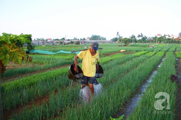 Nhịp sống bình yên buổi sáng ở Hội An_12