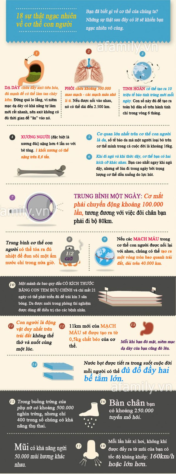 Những điều k&igrave; lạ về cơ thể m&agrave; bạn chưa hề biết 1