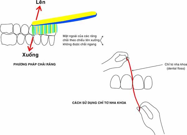 7 nguyên tắc quan trọng trong việc vệ sinh cơ thể 2