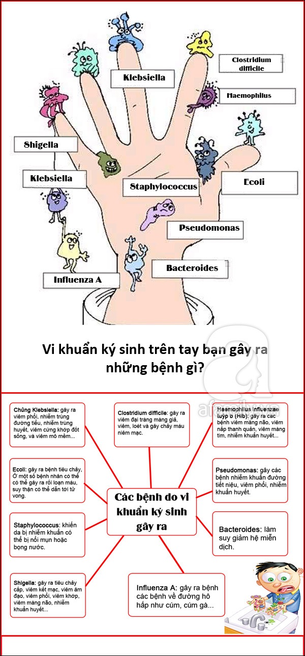 Những vi khuẩn "rình rập" trên bàn tay của bạn 1