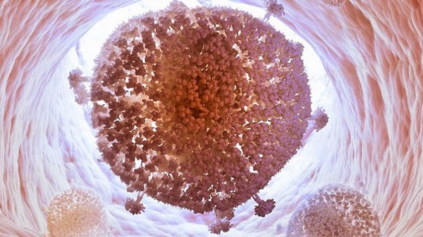 Loại bỏ thành công virút HIV khỏi tế bào người 1