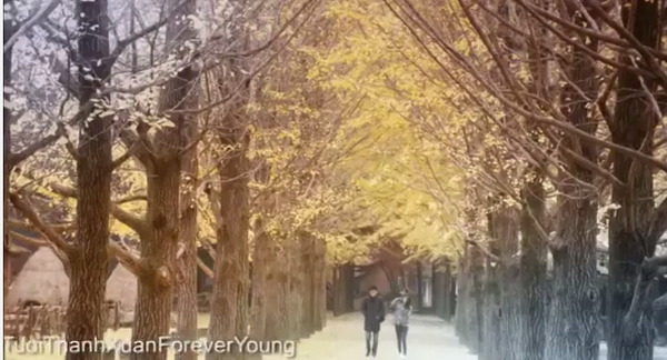 Phim của Nhã Phương, Hồng Đăng tung teaser đẹp như mơ 5