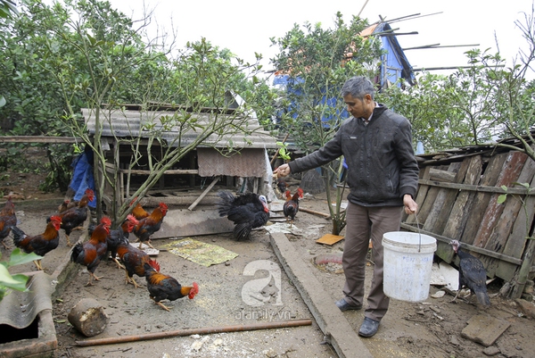 Người Hà Nội thành nông dân vì... thực phẩm sạch 9