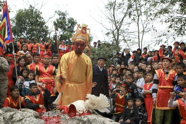 Cận cảnh màn chém “ma gà” ở Hà Nội 11 Cận cảnh màn chém “ma gà” ở Hà Nội 11