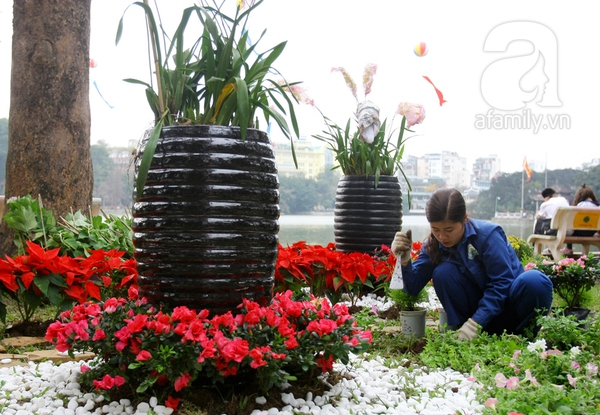 H&agrave; Nội th&agrave;nh vườn hoa khổng lồ ng&agrave;y gi&aacute;p Tết 12