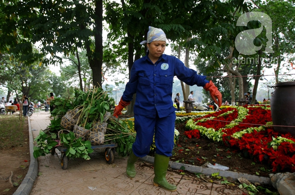 H&agrave; Nội th&agrave;nh vườn hoa khổng lồ ng&agrave;y gi&aacute;p Tết 14