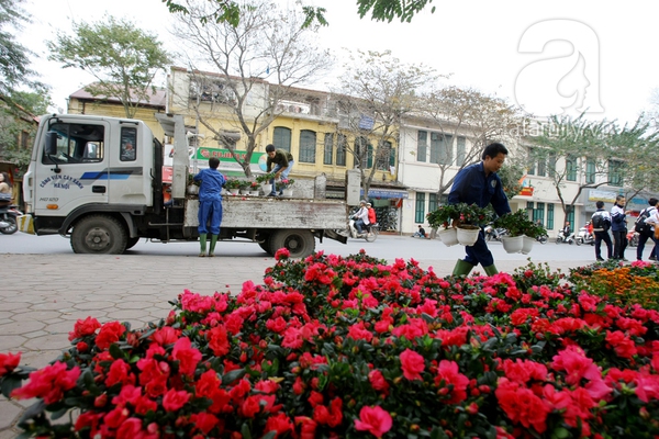 H&agrave; Nội th&agrave;nh vườn hoa khổng lồ ng&agrave;y gi&aacute;p Tết 21