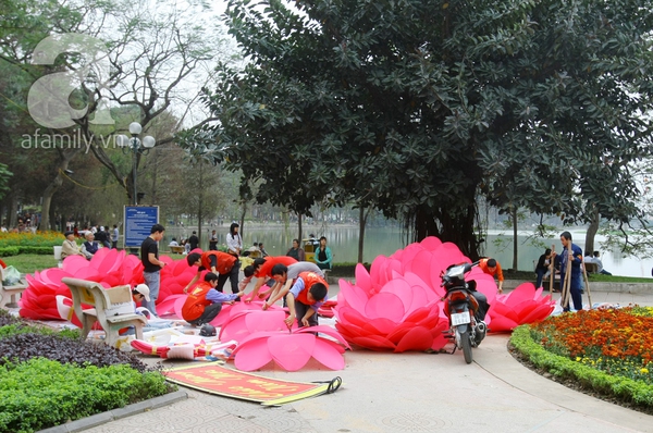 H&agrave; Nội th&agrave;nh vườn hoa khổng lồ ng&agrave;y gi&aacute;p Tết 18