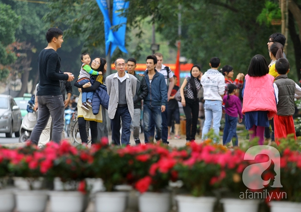 H&agrave; Nội th&agrave;nh vườn hoa khổng lồ ng&agrave;y gi&aacute;p Tết 23