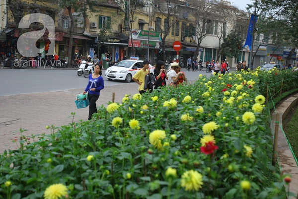 H&agrave; Nội th&agrave;nh vườn hoa khổng lồ ng&agrave;y gi&aacute;p Tết 27