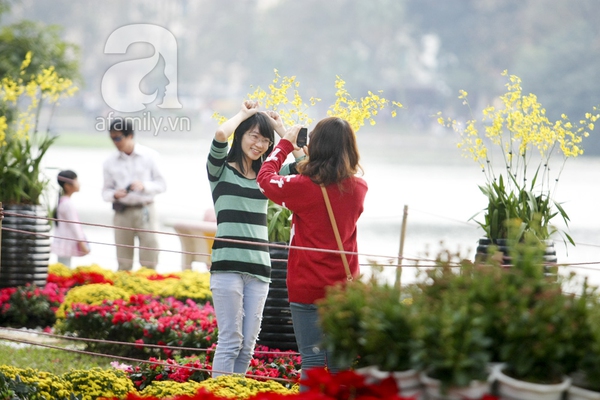 Hà Nội thành vườn hoa khổng lồ ngày giáp Tết 29