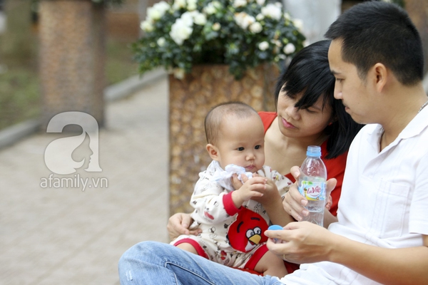 H&agrave; Nội th&agrave;nh vườn hoa khổng lồ ng&agrave;y gi&aacute;p Tết 34