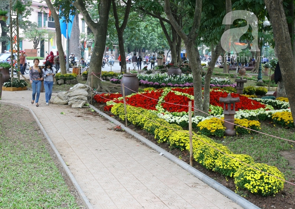Hà Nội thành vườn hoa khổng lồ ngày giáp Tết 4