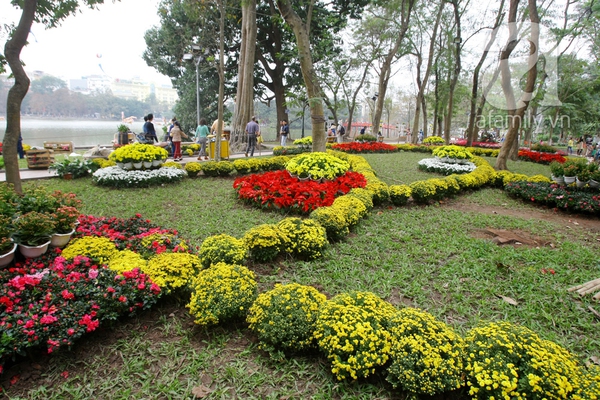 H&agrave; Nội th&agrave;nh vườn hoa khổng lồ ng&agrave;y gi&aacute;p Tết 6