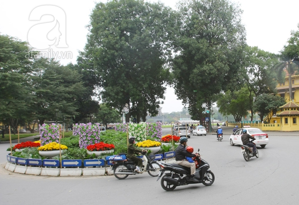 H&agrave; Nội th&agrave;nh vườn hoa khổng lồ ng&agrave;y gi&aacute;p Tết 8